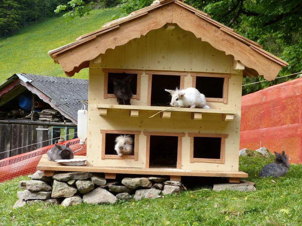 Apartamento Schieplechnerhof Schladming Exterior foto